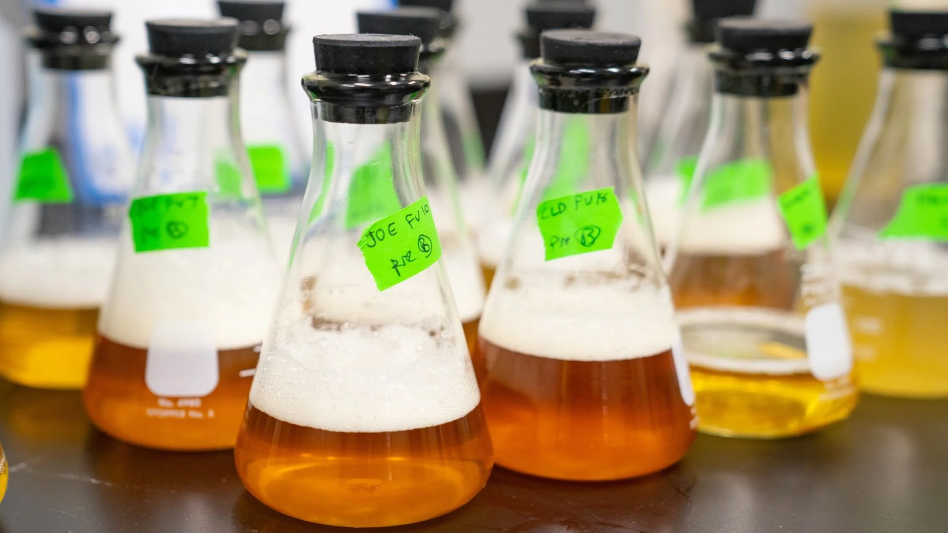 How to Master Urine Drug Test Full Service