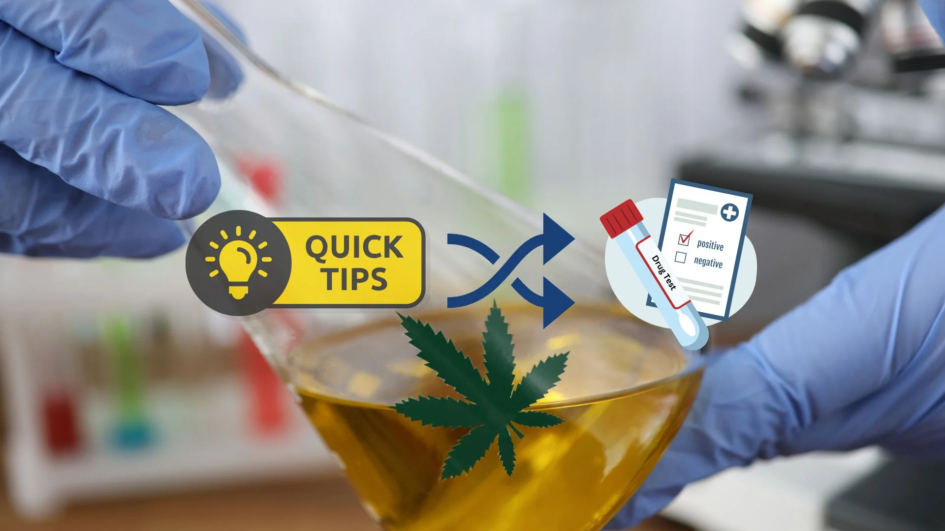 Six Tips to Prepare for a Drug and Alcohol Test