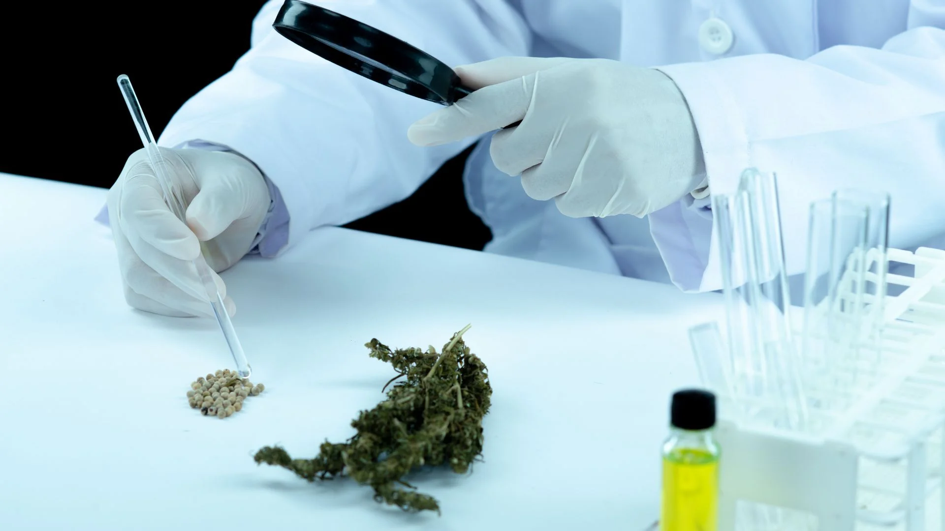 Top Six Misconceptions about THC Drug Testing
