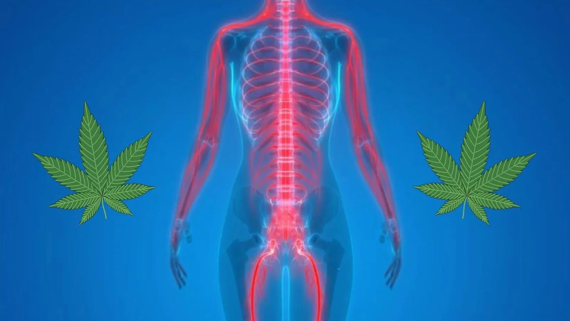 How long does marijuana stay in your system?